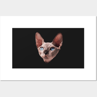 Sphynx Cat Cute Hairless Blue Eyed Kitten Posters and Art